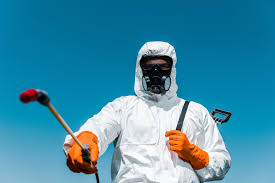 Best Fumigation Services  in El Rio, CA